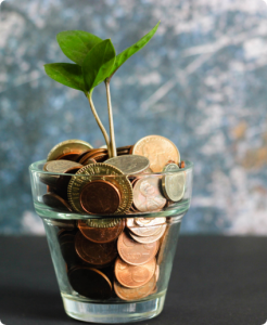 micheile henderson zvprbbmt8qa unsplash